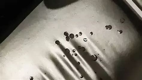 Abrotzen Nr 6 Gay HD Videos HD Porn Video D6 XHamster