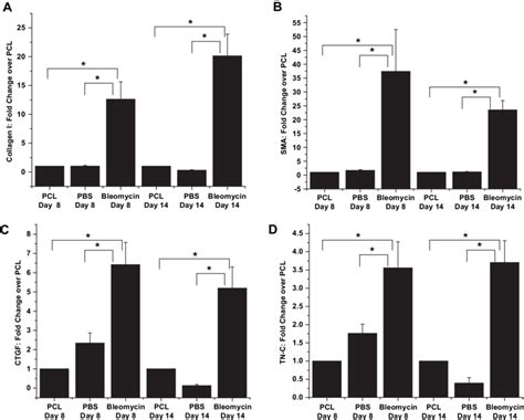 Relative Real Time Pcr Analysis Of Fibrotic Gene Expression In Mouse Bm