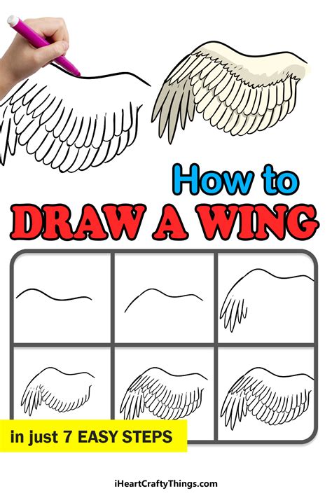 How To Draw Bird Wings Step By Step