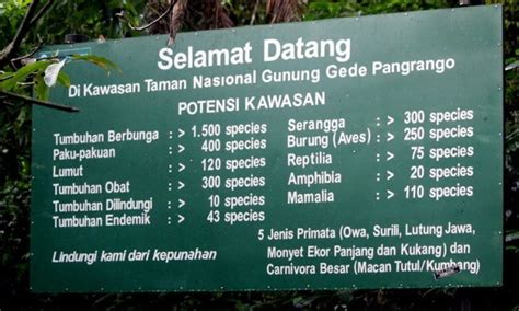 Destinasi Wisata Kaki Gunung Pangrango Tempat Wisata Indonesia