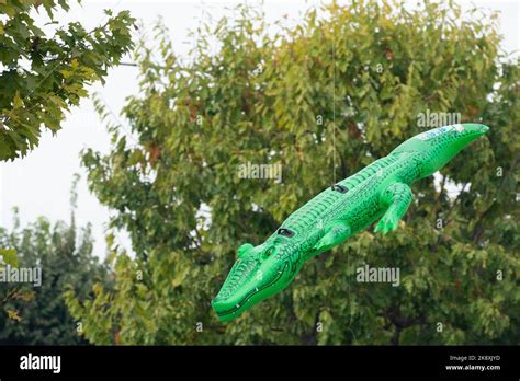 Green Crocodile Plastic Pool Toys For Sell Stock Photo Alamy