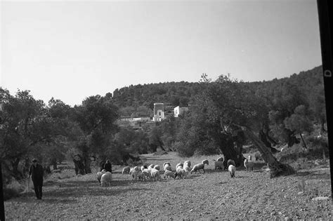 Ibiza An Island Of Tiny Kingdoms White Ibiza