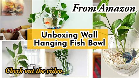 Wall Mounted Fish Bowl Fish Bowl Decoration Ideas Wall Hanging Fish