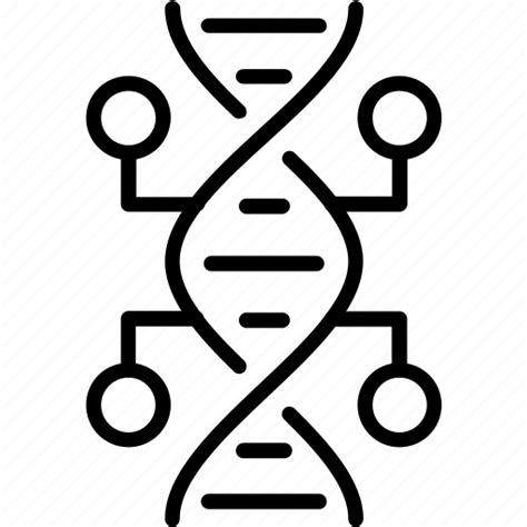 Biology Chromosome Dna Genetics Genome Science Icon Download On