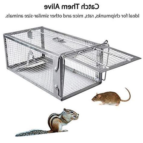 Gingbau Chipmunk Trap Humane Live Rat Trap Cage