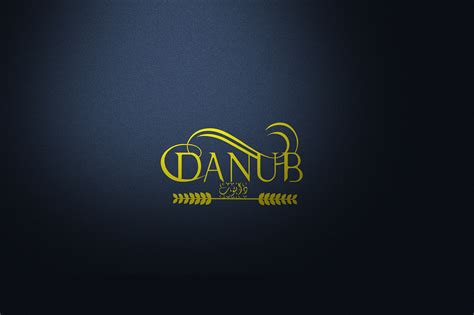 logo danub :: Behance