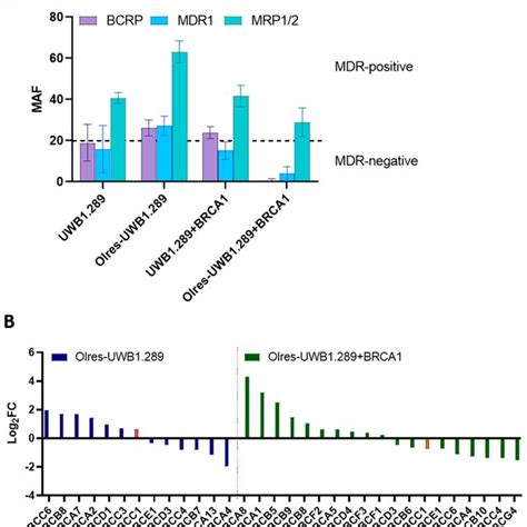 Multidrug Resistance Spectrum Of Parpi Resistant Cells A Multidrug Download Scientific