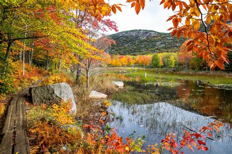 Acadia National Park Travel Guide – Earth Trekkers