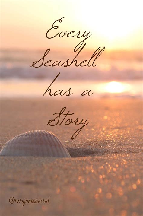 Every Seashell Has A Story Beach Quotes Sea Shells Beach Life