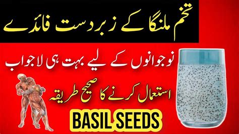 Tukhm E Malanga Benefits Tukh Malanga Ke Fayde In Hindi Urdu Basil