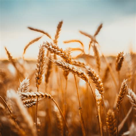 mobilise private finance  fight rising global food insecurity devere