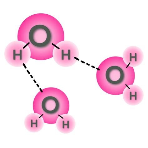 The Water Molecule 12025558 PNG