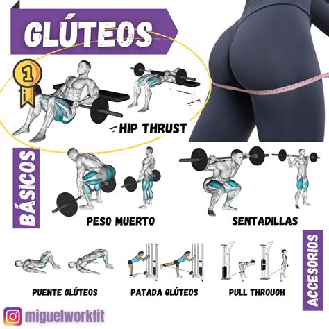 Los Mejores Ejercicios Para Desarrollar Los Gl Teos Miguelworkfit