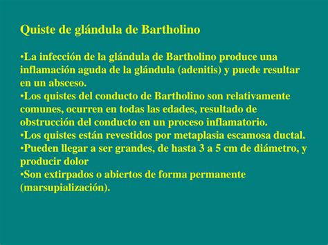 SOLUTION Patologia De Vulva Y Vagina Studypool