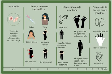 Como Prevenir A Febre Maculosa Not Cias Ufjf