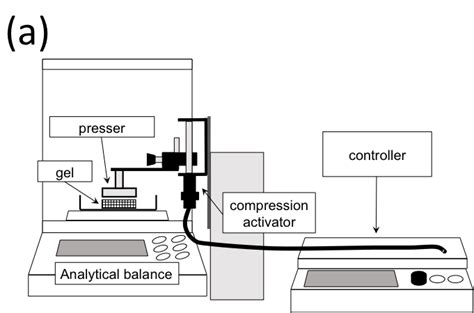 Experimental Apparatus For The Uniaxial Compression Test A Schematic Download Scientific