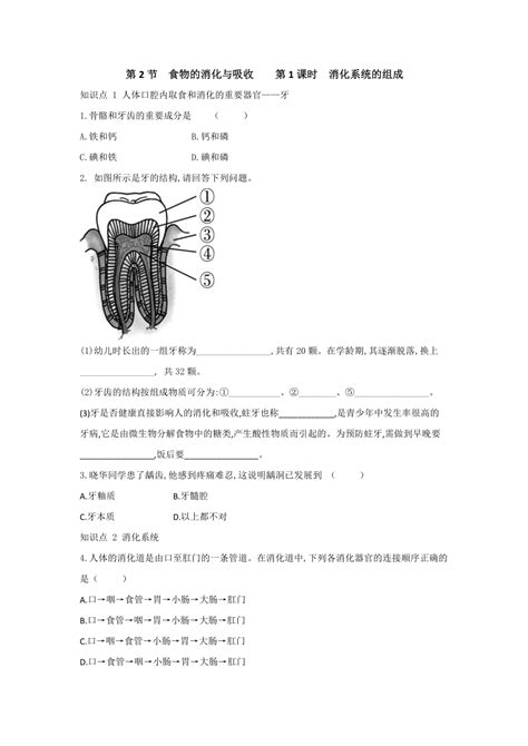 浙教版科学九年级上册同步课时练习：42 食物的消化与吸收 第1课时（含答案） 21世纪教育网