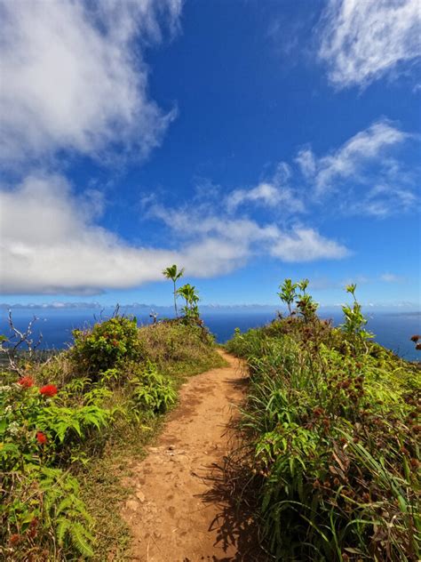 Stunning Waihee Ridge Trail Maui Video Pictures And Detailed Guide