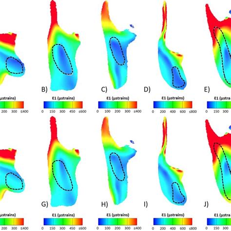 Contour Plots Of Von Mises Stress For All Models And Specimens In