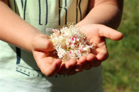 Na osiedlu Miłocin w Rzeszowie zamieniają śmieci na rośliny Akcja już