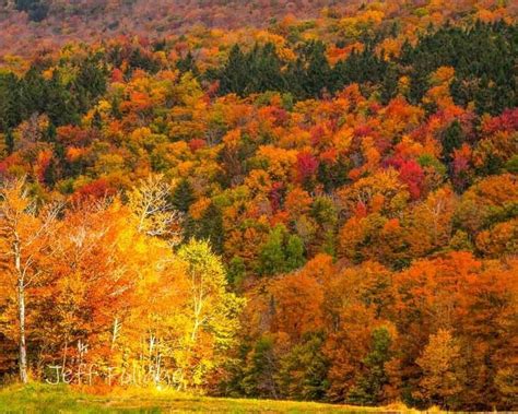 Finding Peak Fall Foliage in New England - New England fall foliage ...