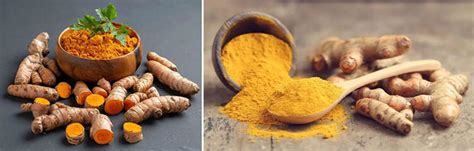 Jiang Huang Jianghuang Curcuma Turmeric For Sale Native Chinese