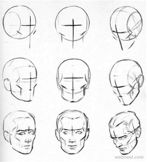 Head Drawing Tutorial At Explore Collection Of