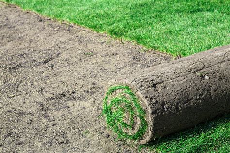 How To Lay Sod Ways To Prepare Your Lawn For Sod