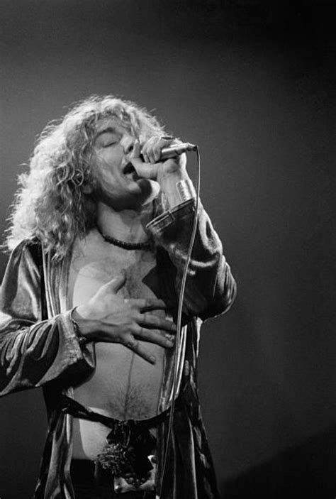 Robert Plant Msg 1977 Sellin Art