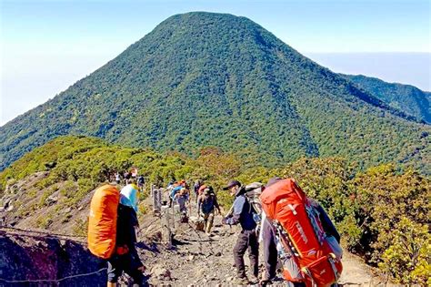 Eksplorasi Keindahan Taman Nasional Gunung Gede Pangrango