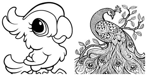 20 Amazing Animals Coloring Pages For Any Coloring Lovers