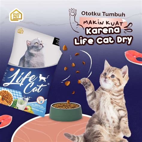 Jual Life Cat Dry Food Kg Makanan Kucing Petshop Indonesia