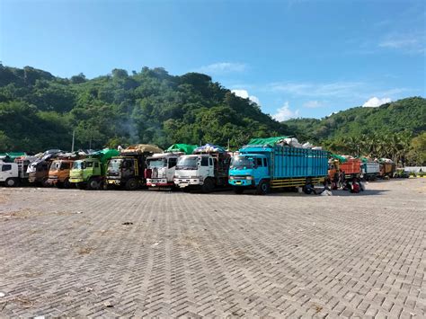 Pemerintah Pertimbangkan Tambah Frekuensi Kapal Pengangkut Ternak