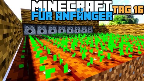 Wie Baut Man Eine Weizenfarm In Minecraft Minecraft F R Anf Nger