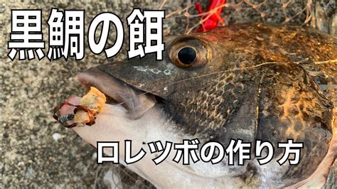 【黒鯛ヘチ釣り落とし込みの餌】必見！！皆が知りたかった？！ロレツボの作り方 Youtube