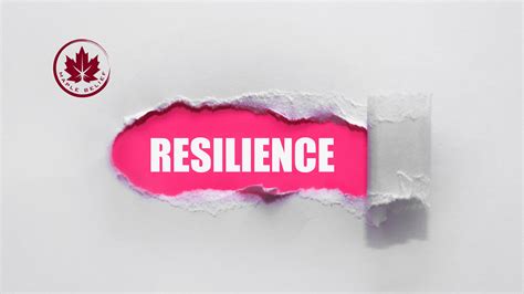 Bounce Back Stronger Cultivating Professional Resilience