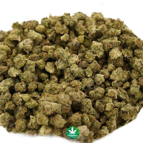 Wholesale Aa Popcorn Pre Bubba Kush Indica Ganja West