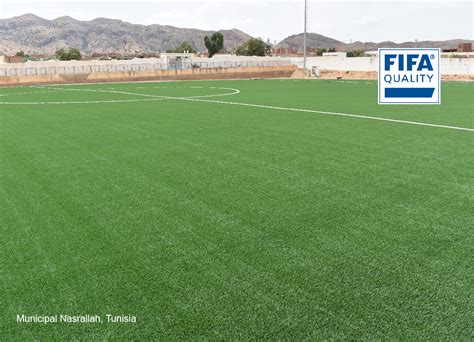 Latest Fifa Certified Fields [collection 1] Ccgrass