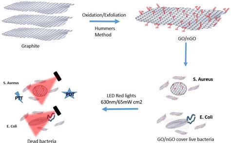 Frontiers Graphene Oxide Mediated Broad Spectrum Antibacterial Based