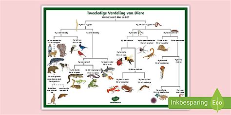 Tweeledige Verdeling Van Diere Plakkaat Teacher Made