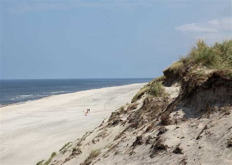 Dejlig sommerdag på stranden My HvideSande Billeder Plakater