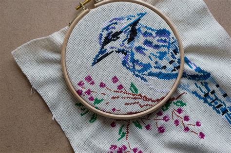 Embroidered Blue Bird In The Hoop Stock Photo Image Of Unfinished