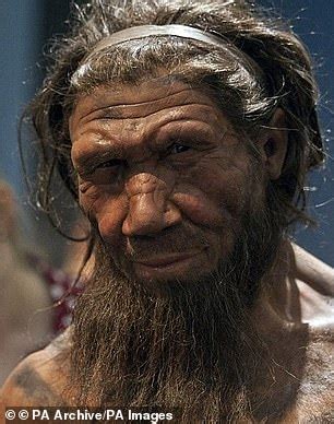 Ancient Dna Reveals What Our Prehistoric Relatives Denisovans Looked