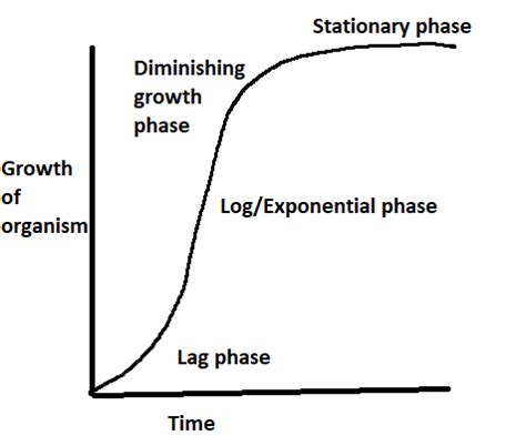 Sigmoid Population Growth Curve