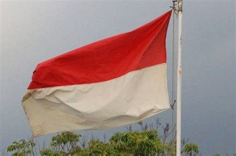 Jelang 17 Agustus, 7 Langkah Pasang Bendera Depan Rumah Sesuai Aturan ...