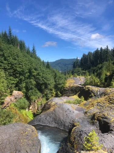 Best Waterfall Trails In Gifford Pinchot National Forest Alltrails