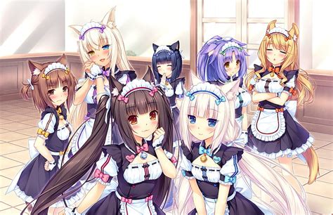 3840x2160px 4k Free Download Neko Maid Cafe Anime Anime Cafe Girl Hd Wallpaper Pxfuel