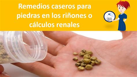 Remedios Caseros Para Las Piedras En Los Ri Ones O Calculos Renales