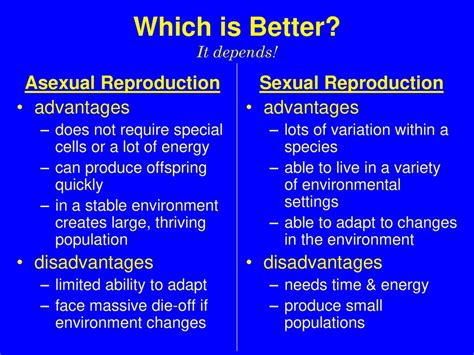 Types Of Reproduction Asexual Sexual Ppt Download