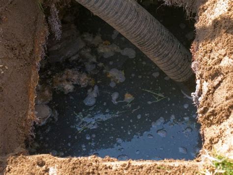 6 Tips To Ensure Septic Tank Longevity In Walled Lake By Shortys Sanitary Medium